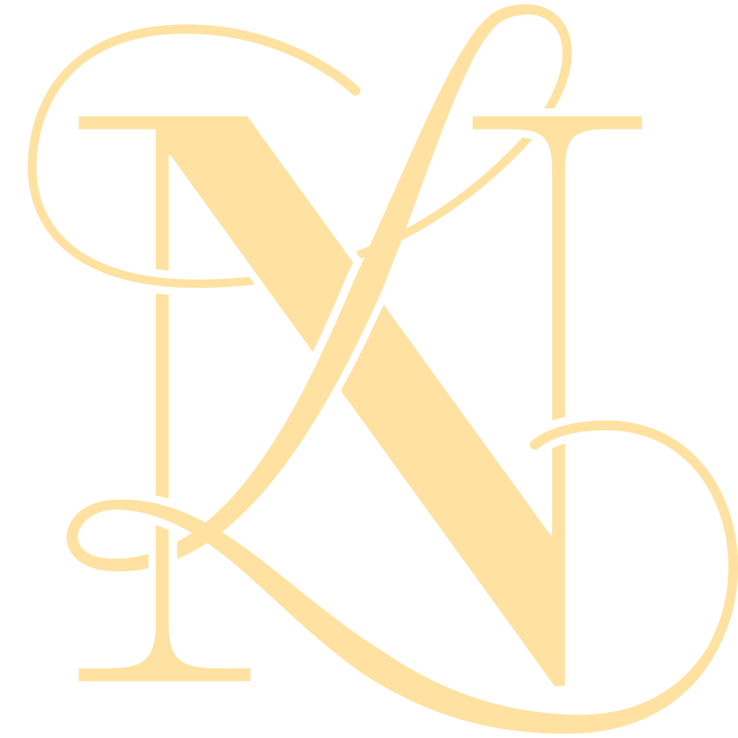 Logo PNG NyL 06